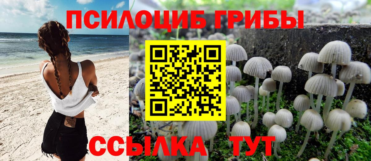 Псилоцибиновые грибы Psilocybine cubensis  купить наркоту  Россия  Галлюциногенные грибы GOLDEN TEACHER  Вход с VPN 